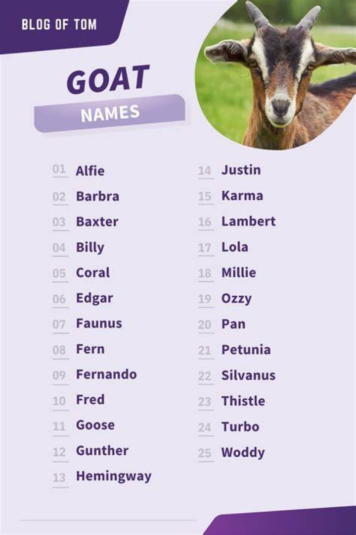 When should I band My boy goat?