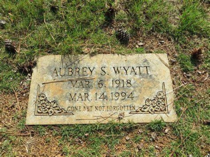 Where Is Aubrey Wyatt's Dad? Exploring The Mystery