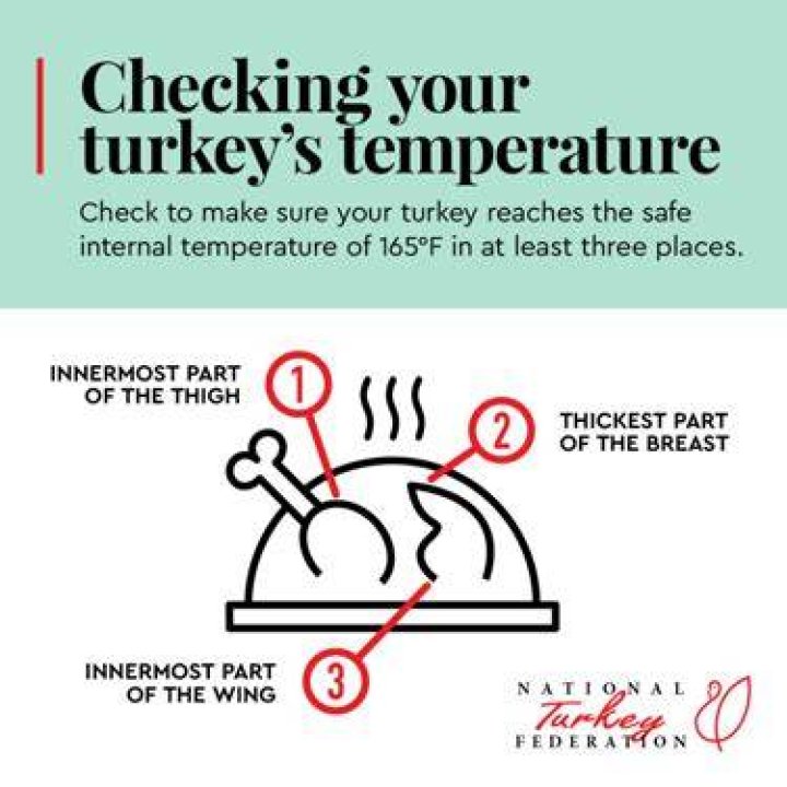 Where To Check Temperature On A Turkey Breast?