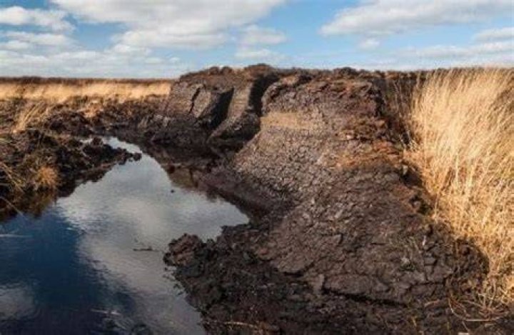 Why are peat bogs dangerous?