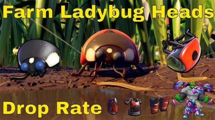 Why can’t i get a ladybug head in Grounded?