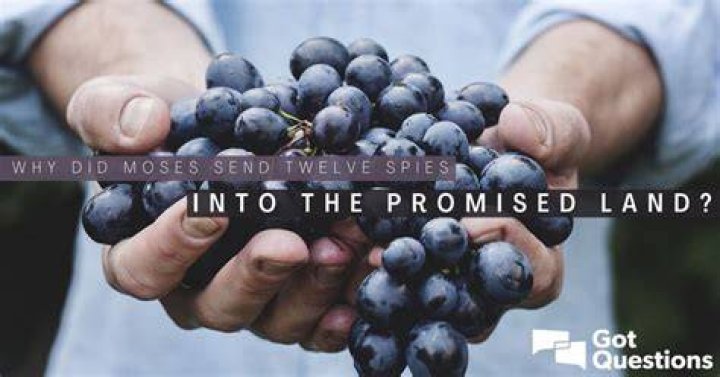 Why did Moses send twelve spies into the Promised Land?