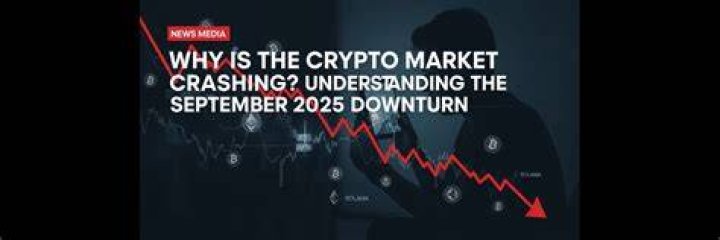 Why Is The Crypto Market Crashing?