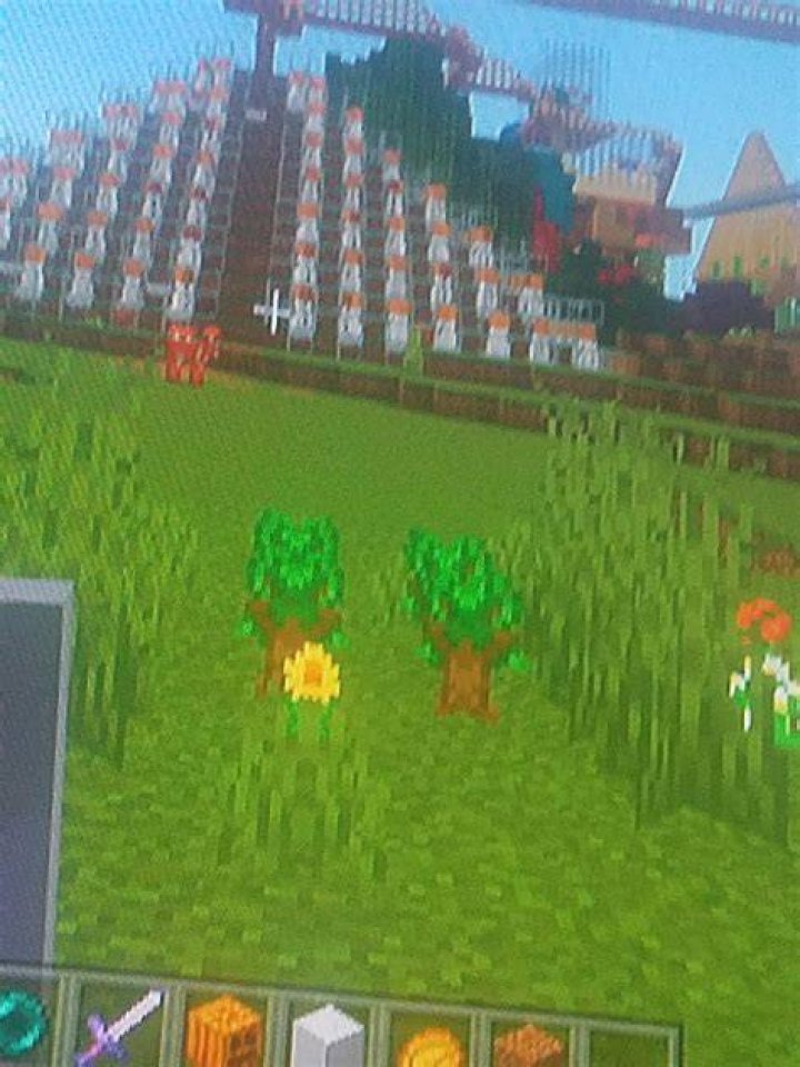 Why won’t my potatoes grow in Minecraft?