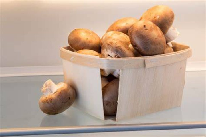 Wie Champignons Lagern?