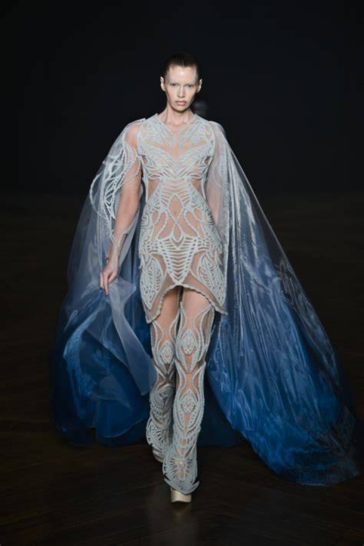 Wie Is Iris Van Herpen?