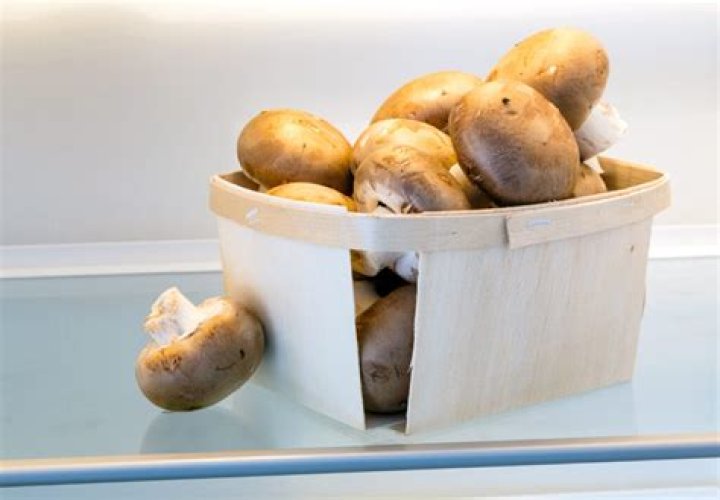 Wie Lange Champignons Im Kühlschrank?