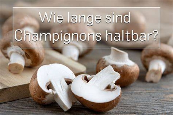 Wie Lange Sind Champignons Haltbar?