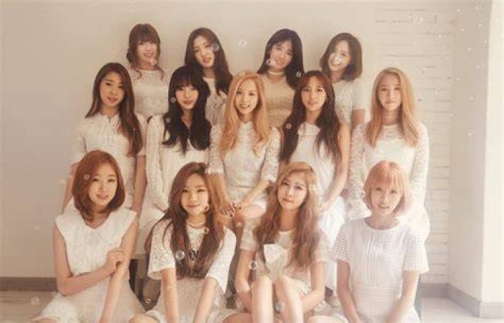 WJSN Members: Who are the members if WJSN?