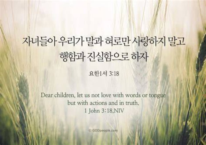 요한3서